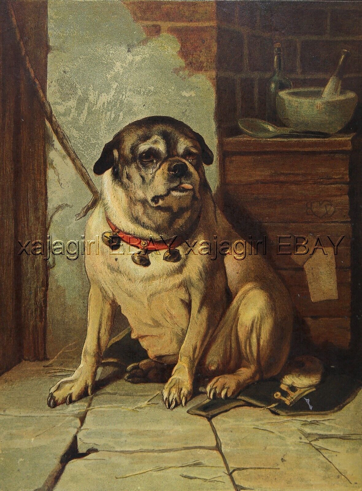 DOG Bulldog Getting Medicine Veterinary, Large 1880s Antique Color Print