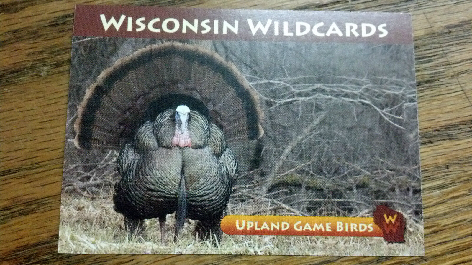 WISCONSIN WILDCARDS, WILD TURKEY--TOM, UPLAND GAME BIRDS, 3-1/2\