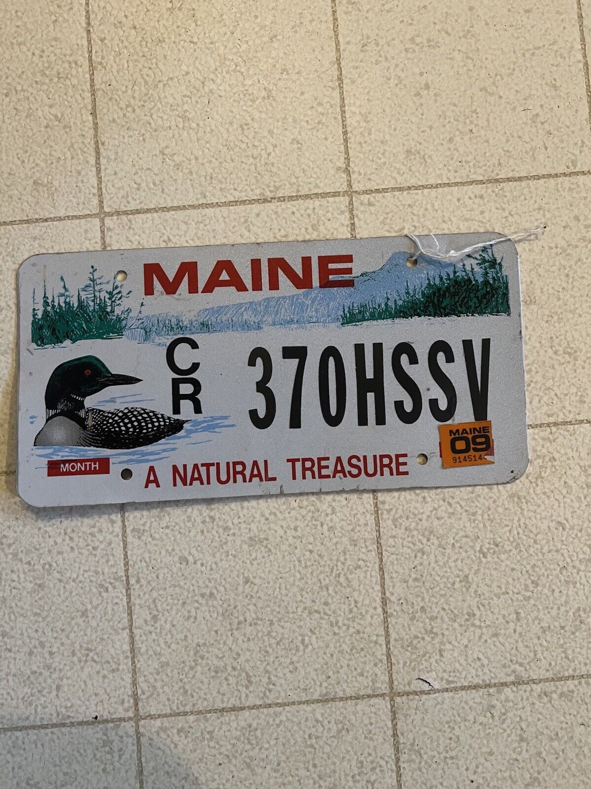 Maine Loon License Plate W/decal Numbers Custom Made Plate
