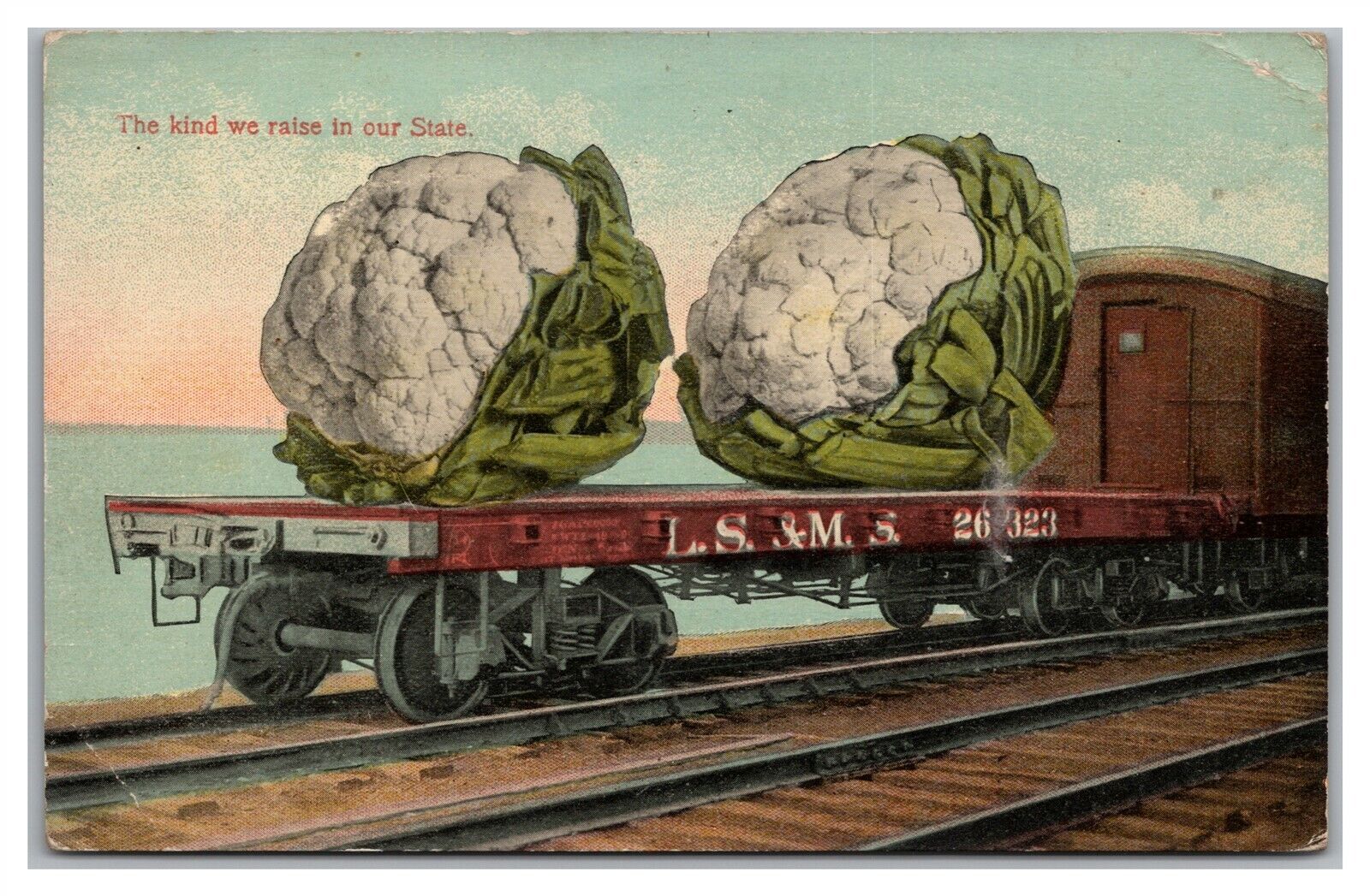 Postcard Exaggerated Cauliflower On Railroad Car c1910s Q20