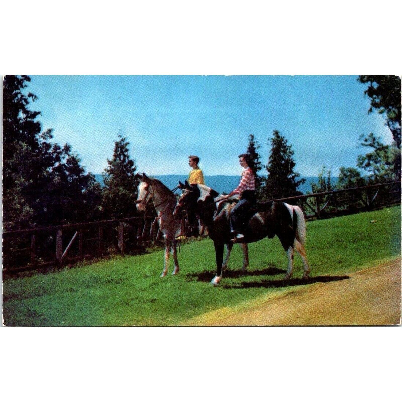 Two People Riding Horses 1952 Vintage Postcard By Nycechrome Man And Woman