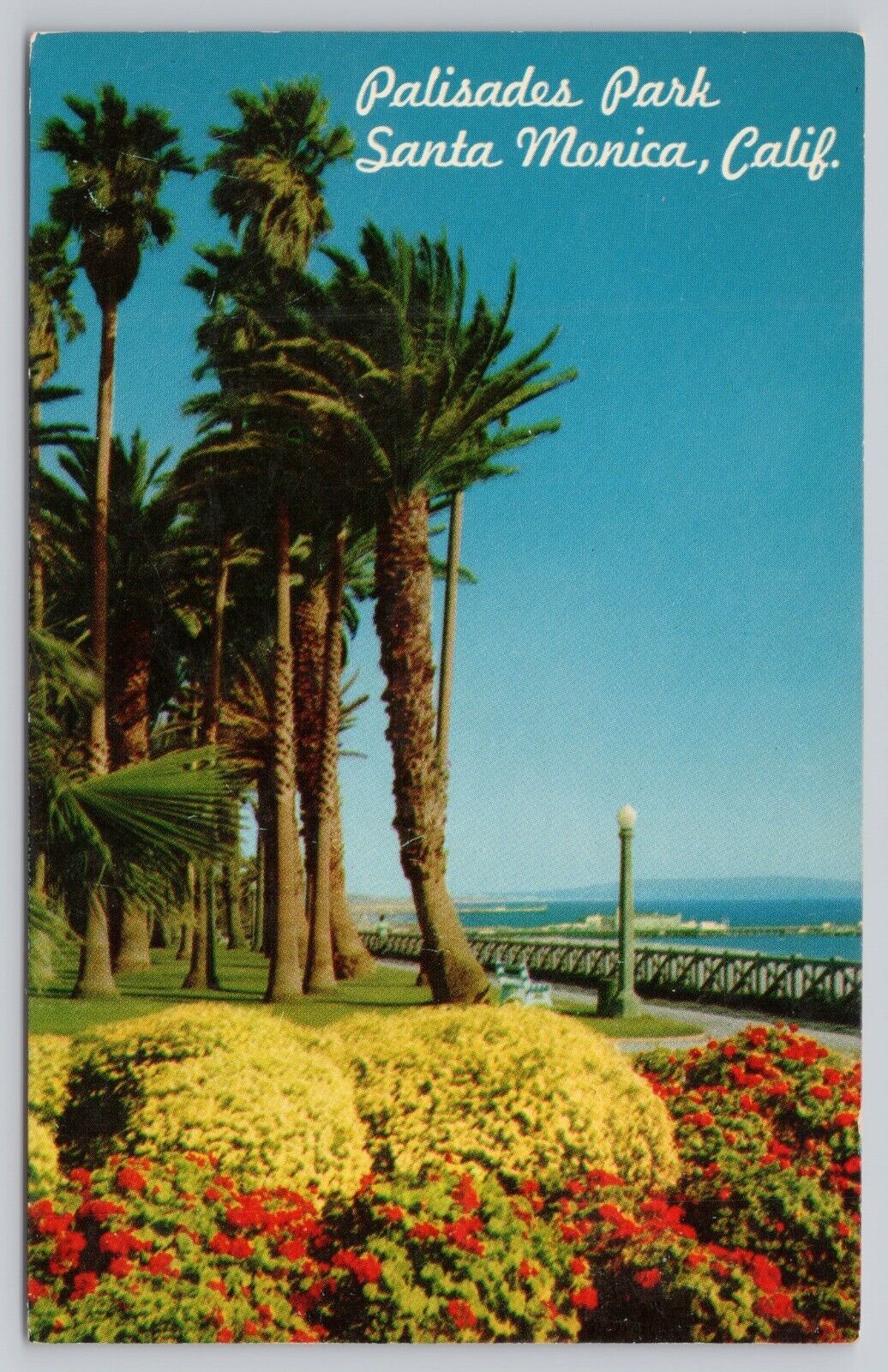 Santa Monica California, Palisades Park, Vintage Postcard