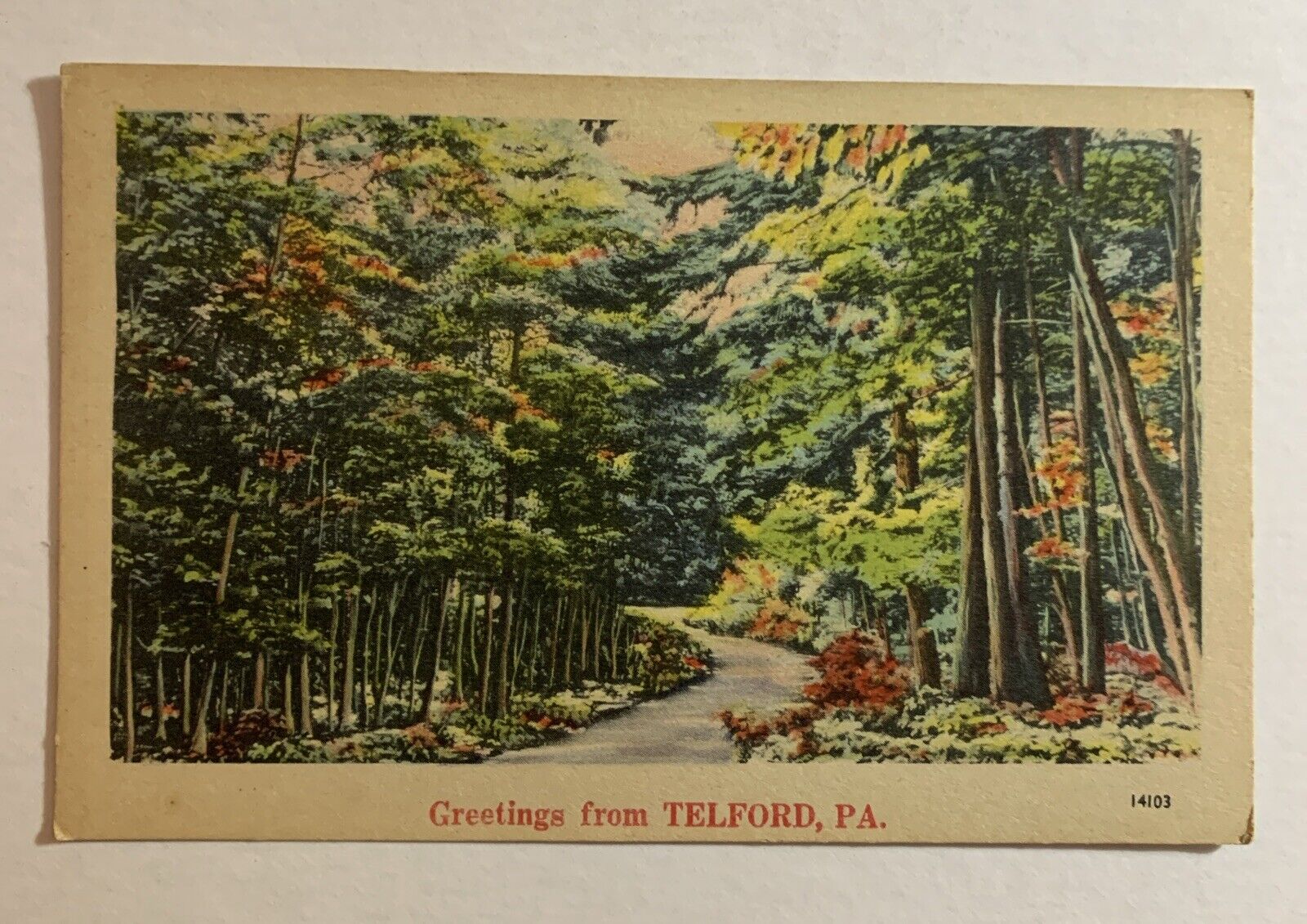 Pennsylvania PA - Greetings from Telford - Parks Gardens Vintage Postcard UNP WB