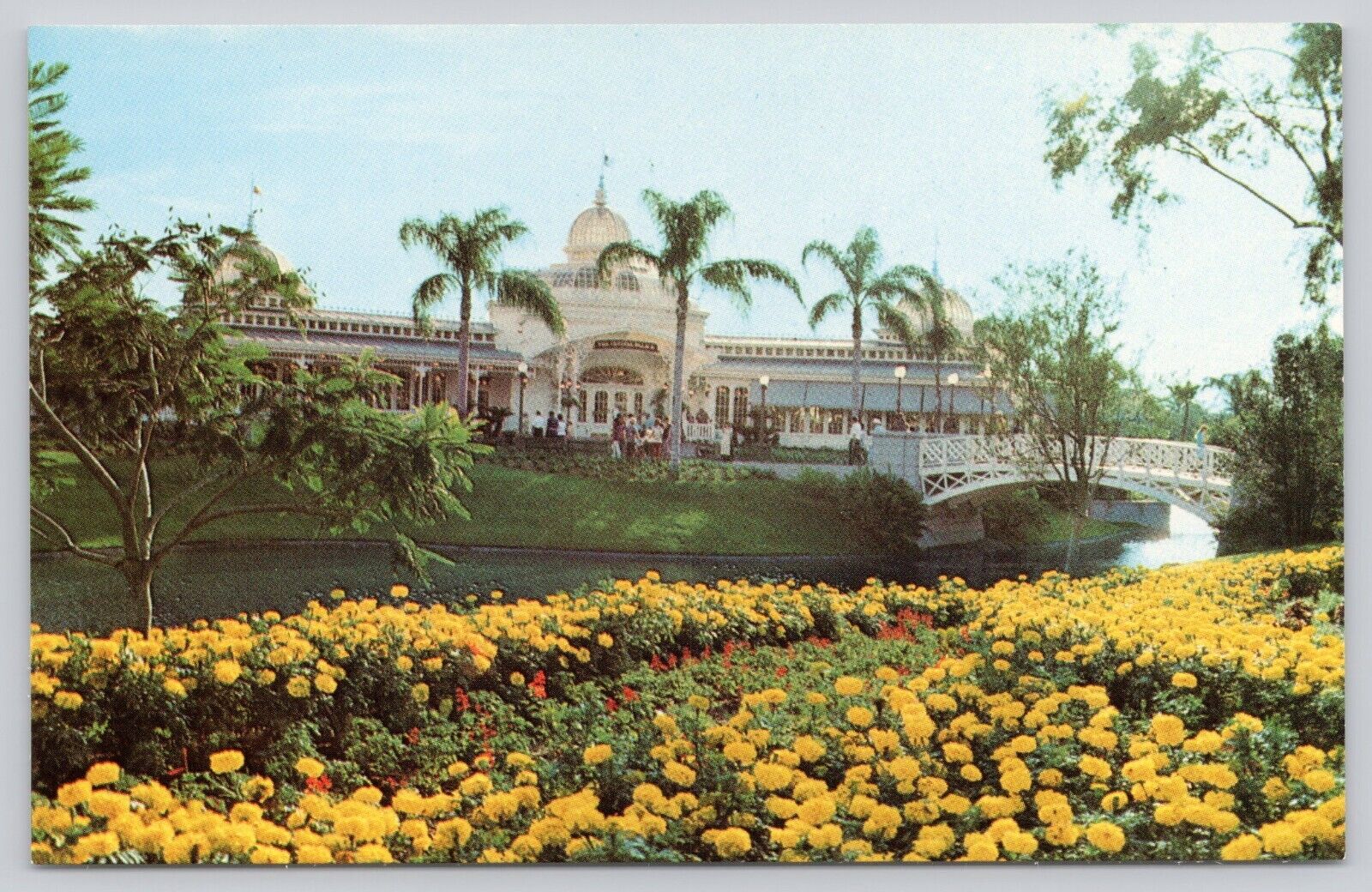 Postcard  Walt Disney World   Crystal Palace Restaurant Florida   Unposted  (a1)
