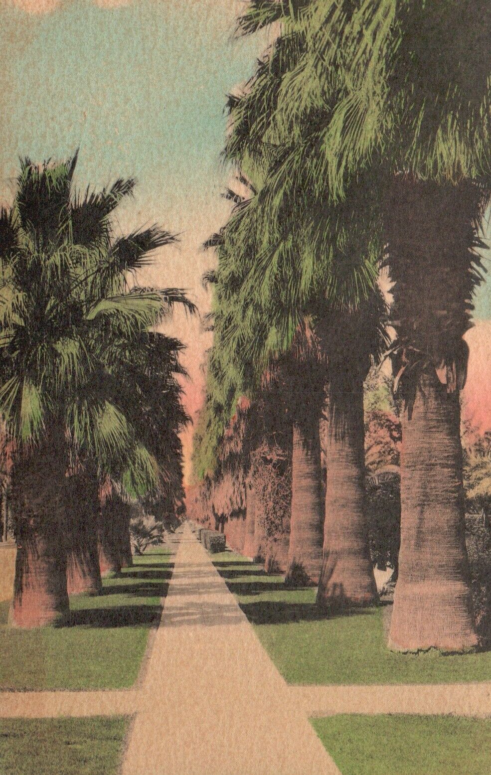 Postcard FL Florida Through an Aisle of Palms Hand Colored Vintage PC J803