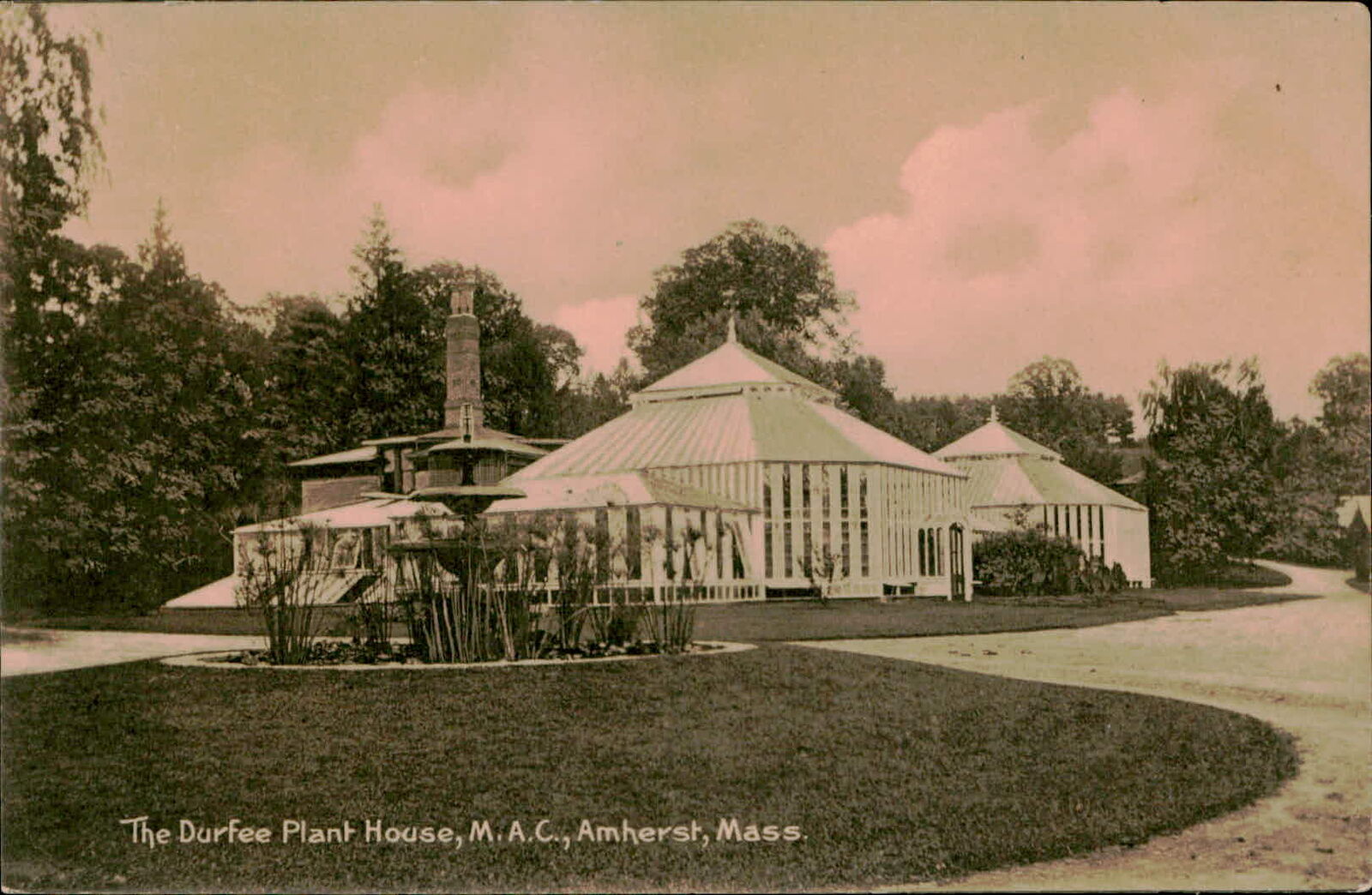 Postcard: The Durfee Plant House, M.A.C., Amherst, Mass.