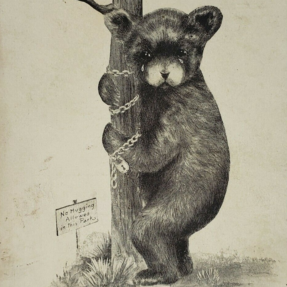 Yellowstone Park Bear Chained Tree Postcard c1939 No Hugging Drawing Art WY B335