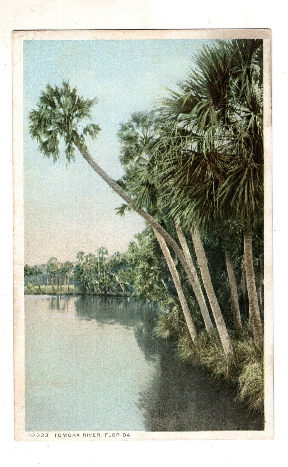 Toma River FL Phostint Vintage Postcard
