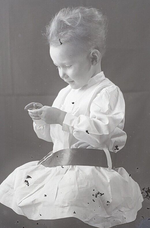 Glass Plate Negative Sweet Little Girl Inspecting Toy in Hand Edwardian #9 PH1