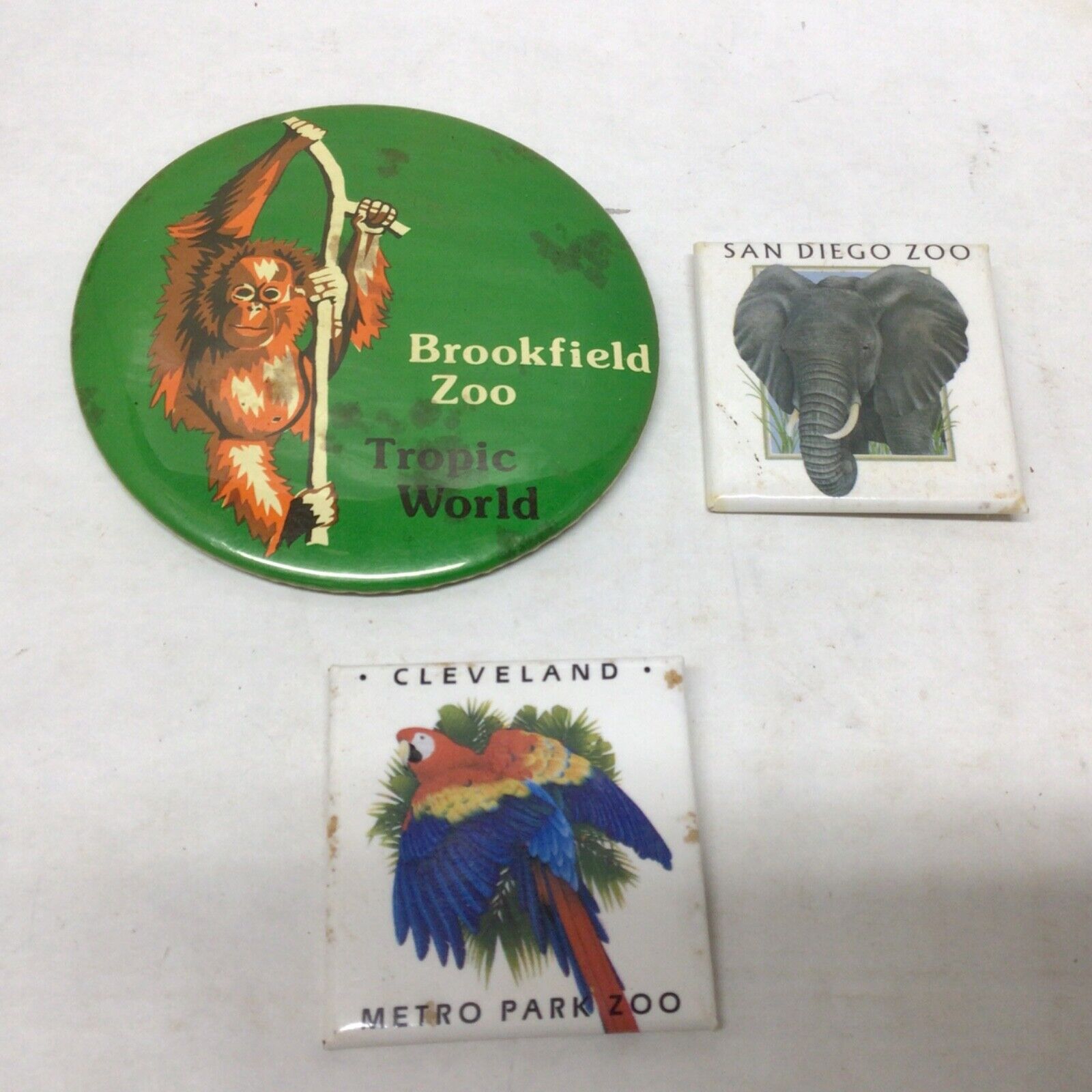 Vintage Pinback Buttons Zoo Theme Lot From Cleveland San Diego Brookfield