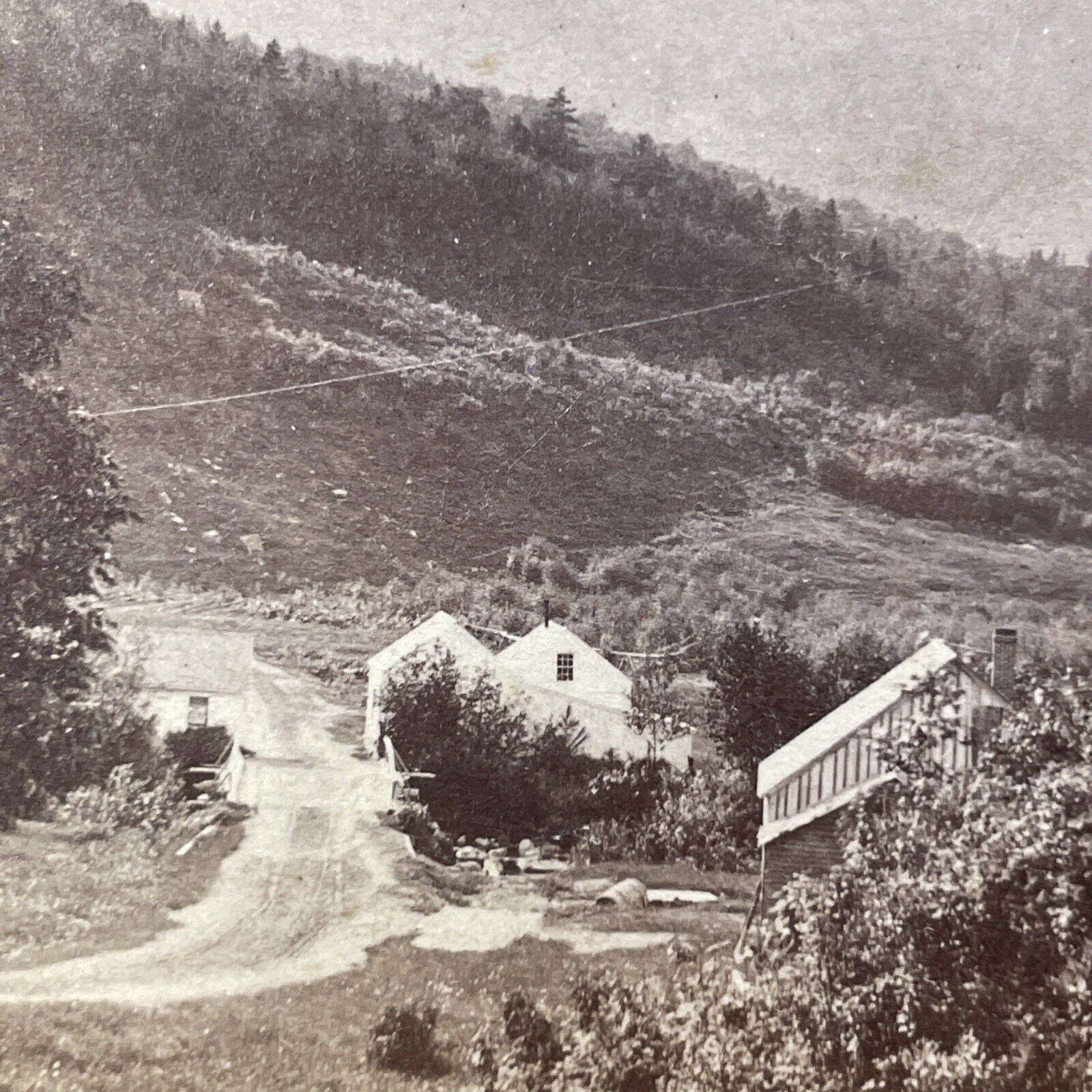 Antique 1870s Glen House Farm Gorhan NH Stereoview Photo Card V1763