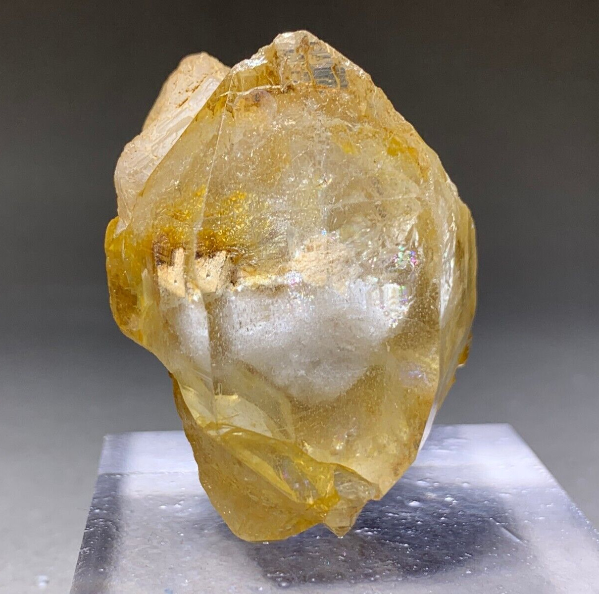 61 Grams Golden Quartz Transparent Crystals Natural Specimen Stone Mineral