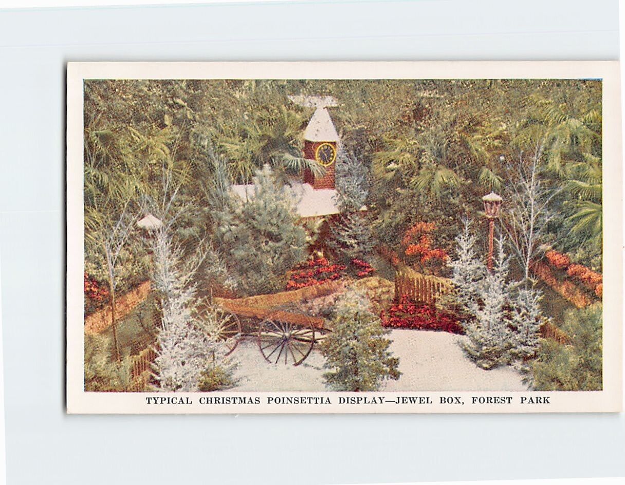 Postcard Typical Christmas Poinsettia Display Jewel Box Forest Park Missouri USA