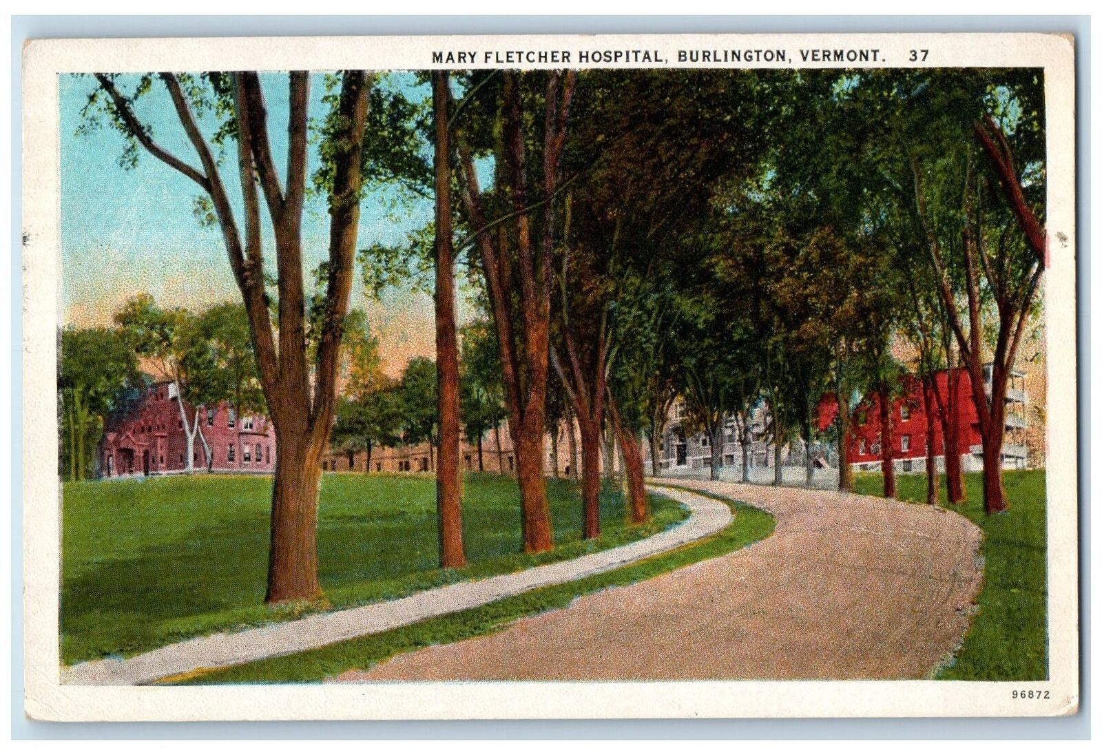 1929 Mary Fletcher Hospital Curve Way Lined Trees Burlington Vermont VT Postcard