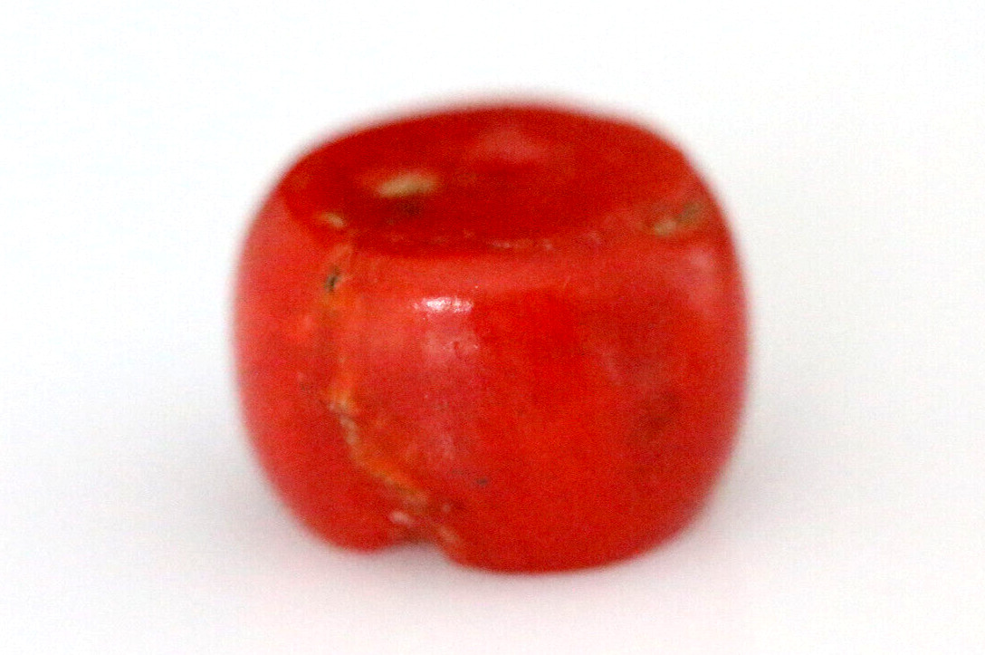 Genuine Ancient RED Coral Bead. Tibetan RED Coral Bead. 10x8 mm 6.5 Carat #G378
