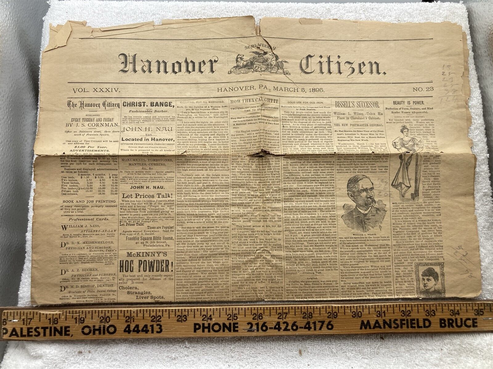 1895 Vintage Hanover Pennsylvania Citizen Newspaper 