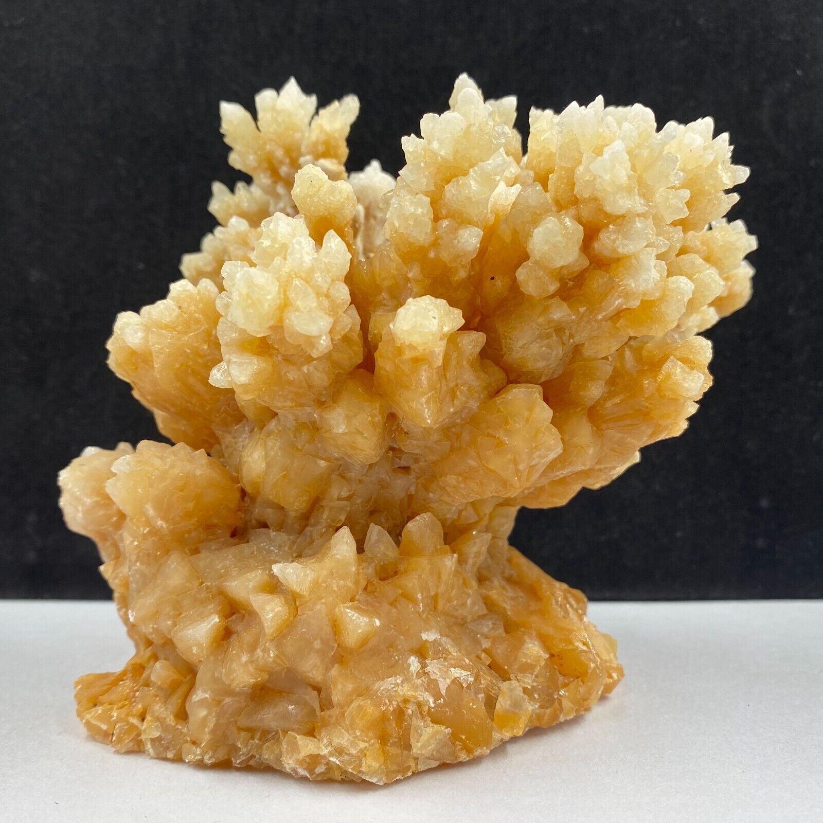 855g Natural quartz crystal cluster mineral specimen, hand-carved The tree gift