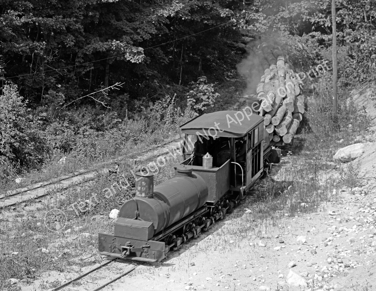 1900-1910 Logging Train, Harbor Springs MI Vintage/ Old Photo 8.5 x 11\