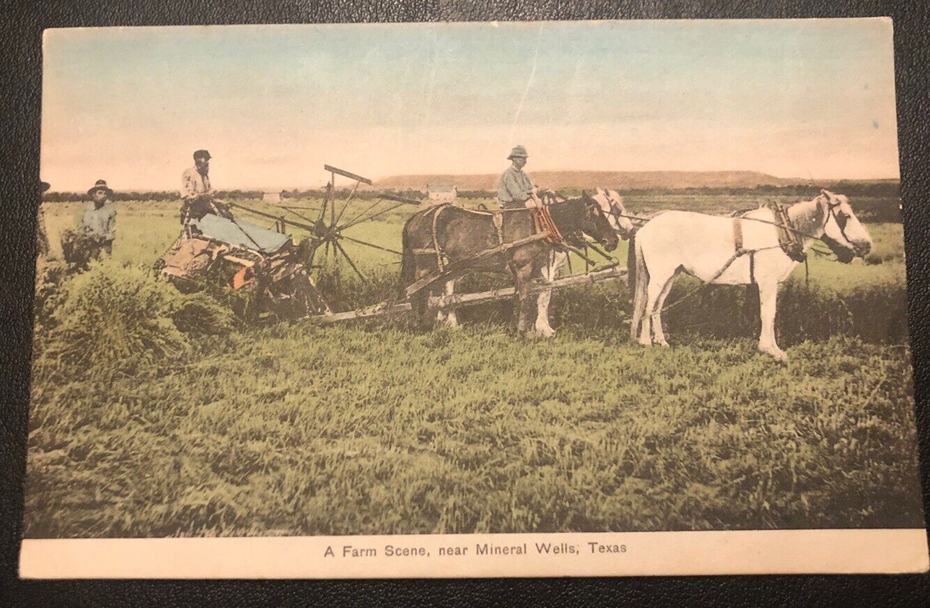Farm Scene Horse Pulling Plow Mineral Wells TX Texas Vintage Postcard FF67