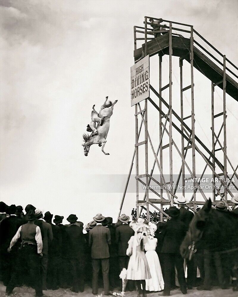 1930s High Diving Horse Photo - Sonora Webster Carver - Bizarre Odd Strange Art