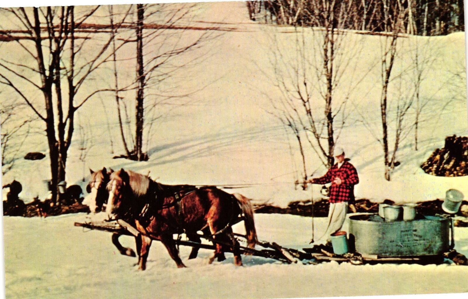 Vintage Postcard- Gould\'s Sugar House, Shelburne Falls, MA. 1960s
