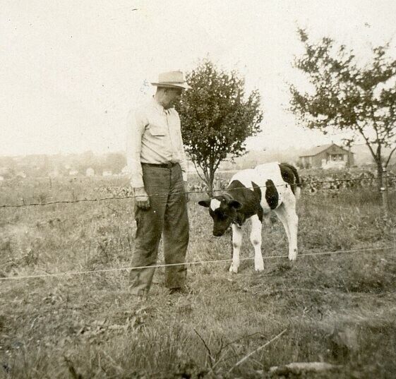 Q730 Original Vintage PhotoMAN WITH HIS HOLSTEIN CALF FARM, barbed wire c 1940\'s