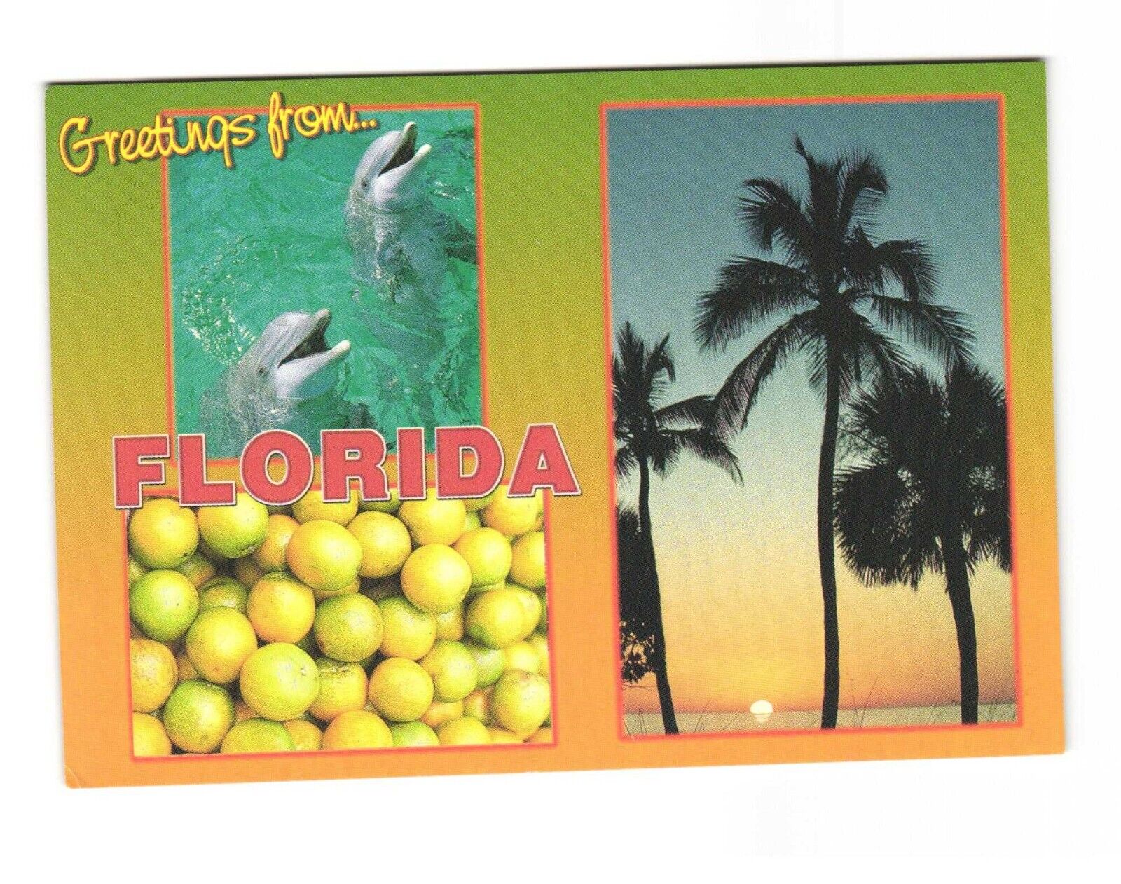 Greetings from Florida The Perfect Vacation Spot Postcard Unposted 4x6