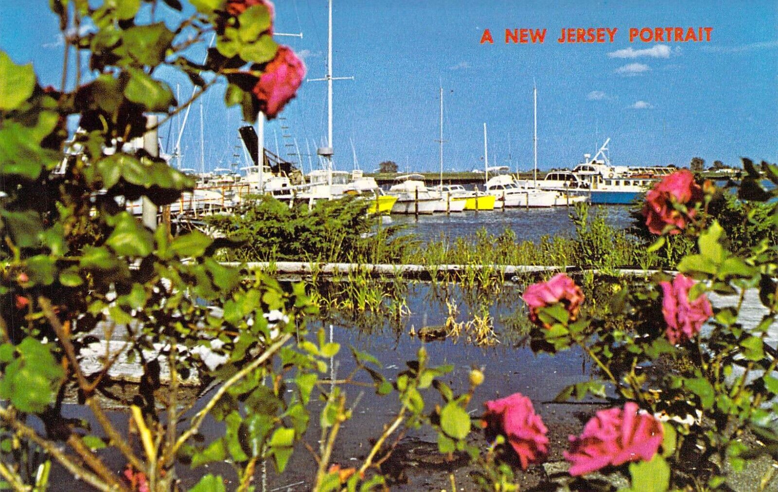 1975 NJ Point Pleasant Marina Boats Yachts Mint postcard A81