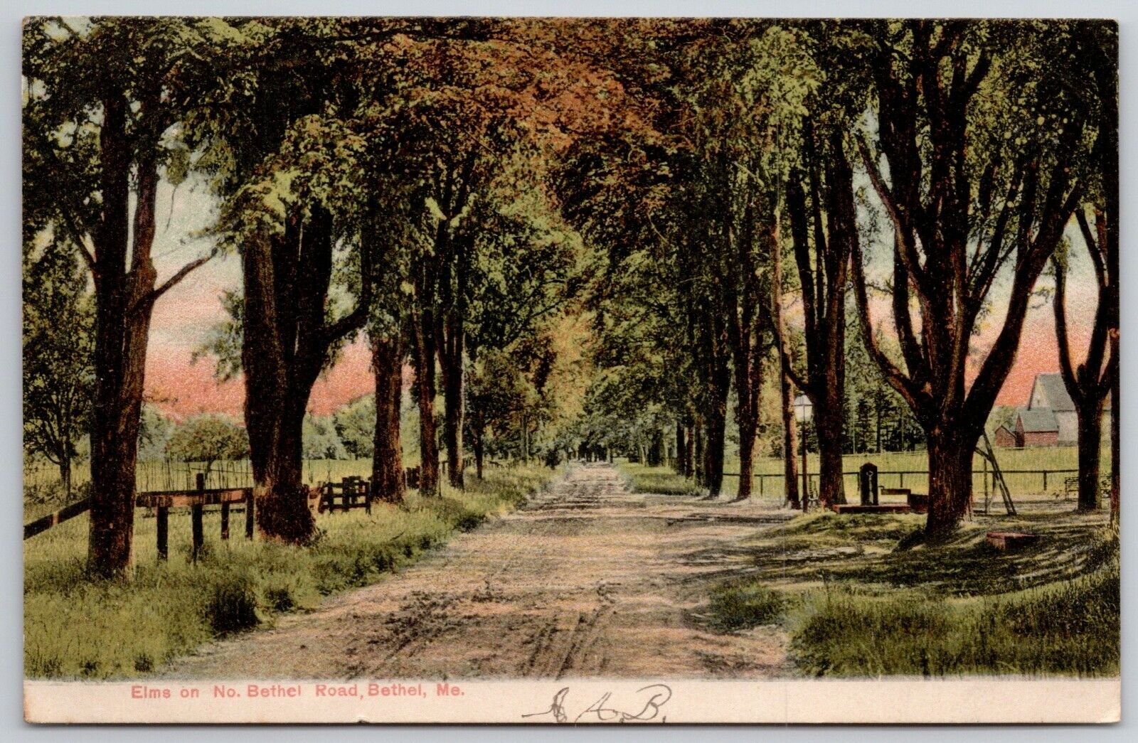 Bethel Maine~Elm Trees & Fences Line North Bethel Road~Farmhouses~1906 Postcard