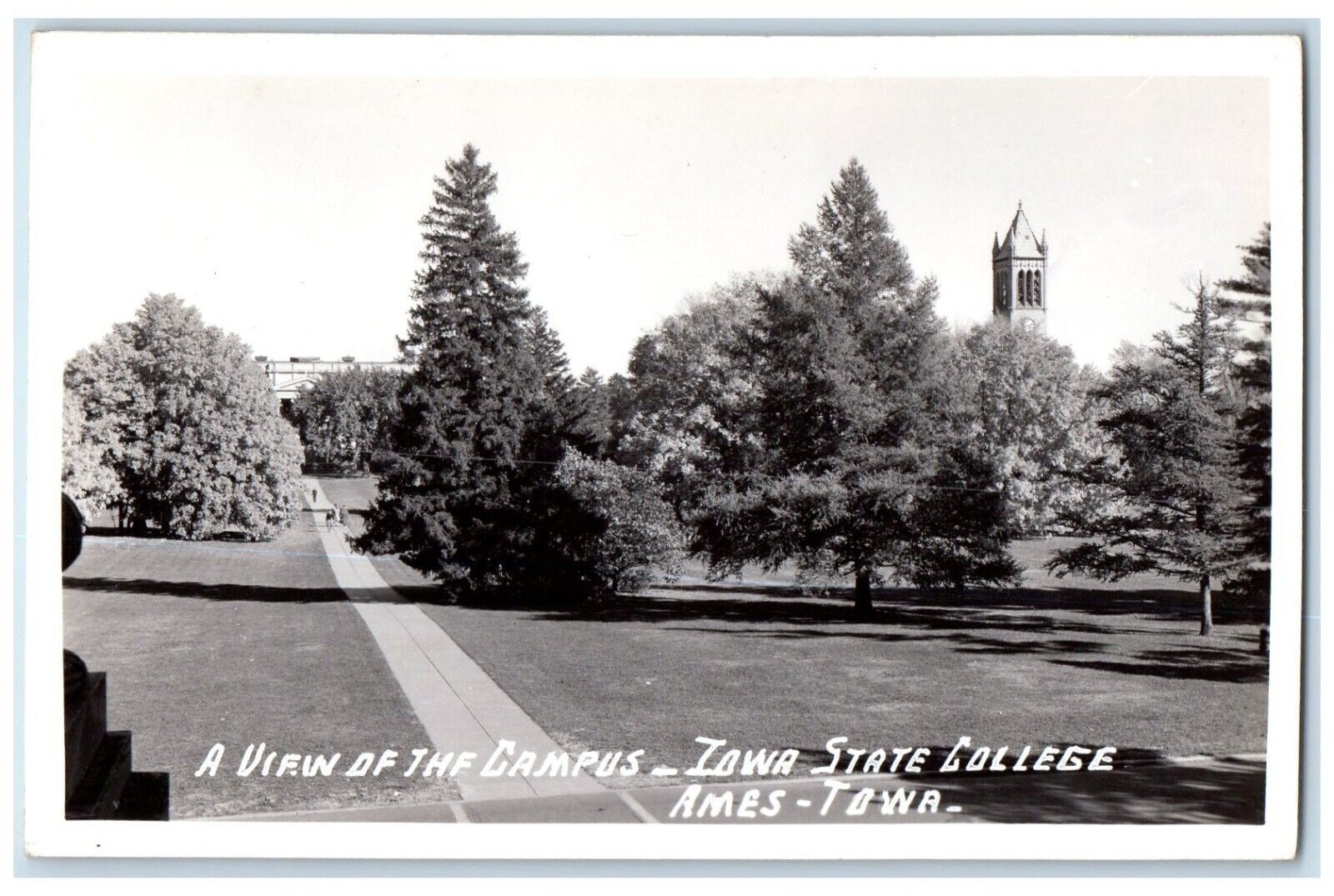 c1940\'s View Of Campus Iowa State College Ames IA Vintage RPPC Photo Postcard