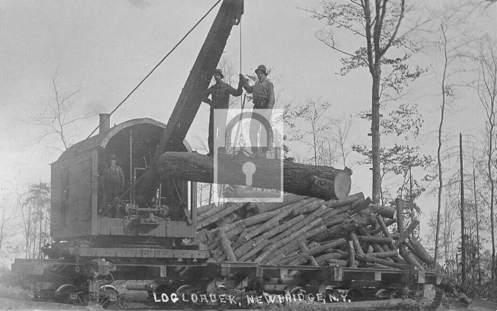 Railroad Train Logging Crane Newbridge New York NY Reprint Postcard