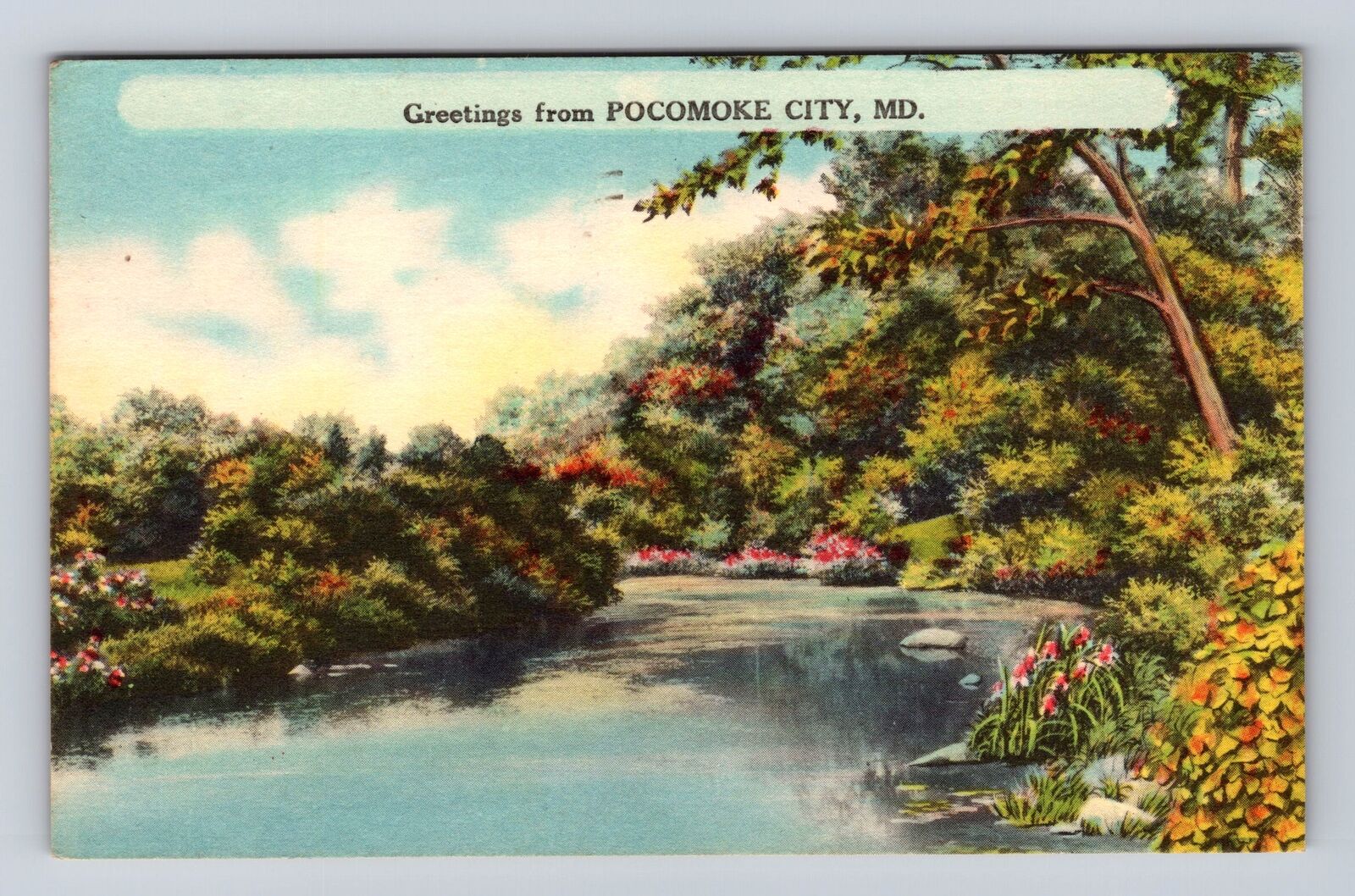 Pocomoke City MD-Maryland, General Greetings, Country River, Vintage Postcard
