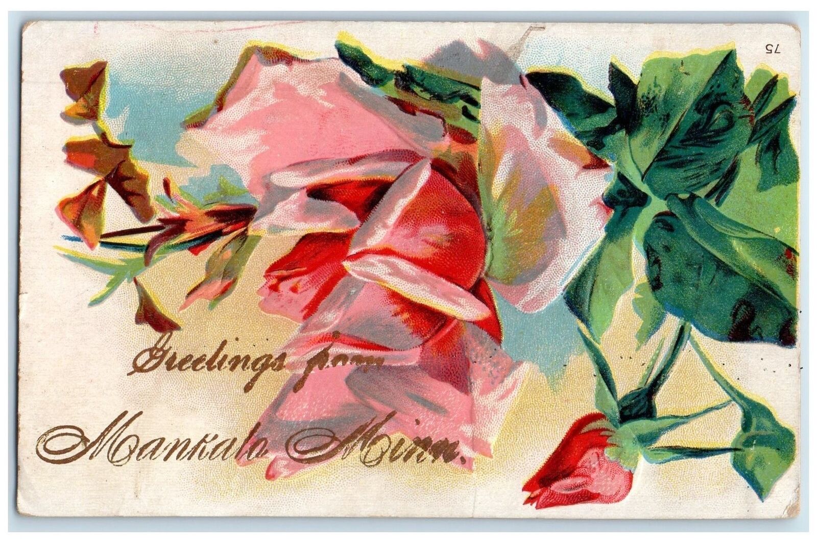 1909 Greetings From Mankoto Minnesota MN Posted Embossed Flowers Scene Postcard