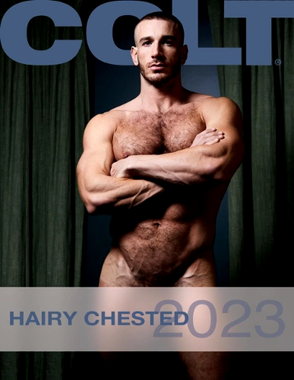 COLT STUDIOS | Hairy Chested | 2023 CALENDAR | BRAND NEW / SEALED LIMITED