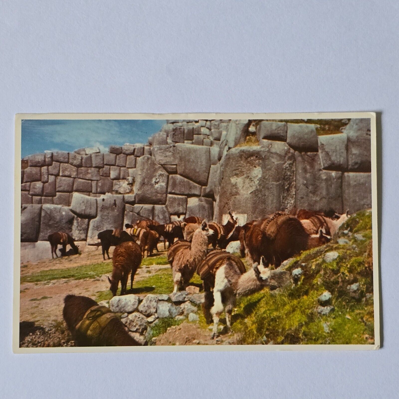 Postcard Cuzco Peru Ruins of Sacsahuaman Llamas Posted