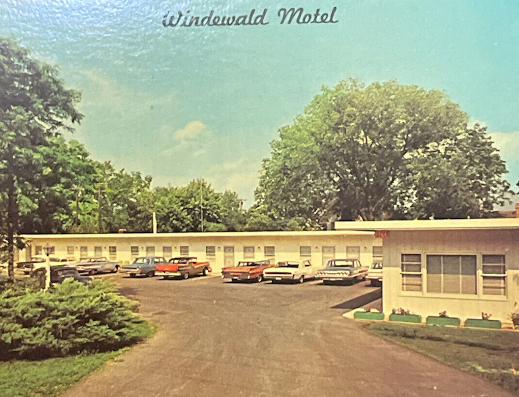 Windewald Motel Martinsburg West Virginia Vintage Postcard Used 1960s