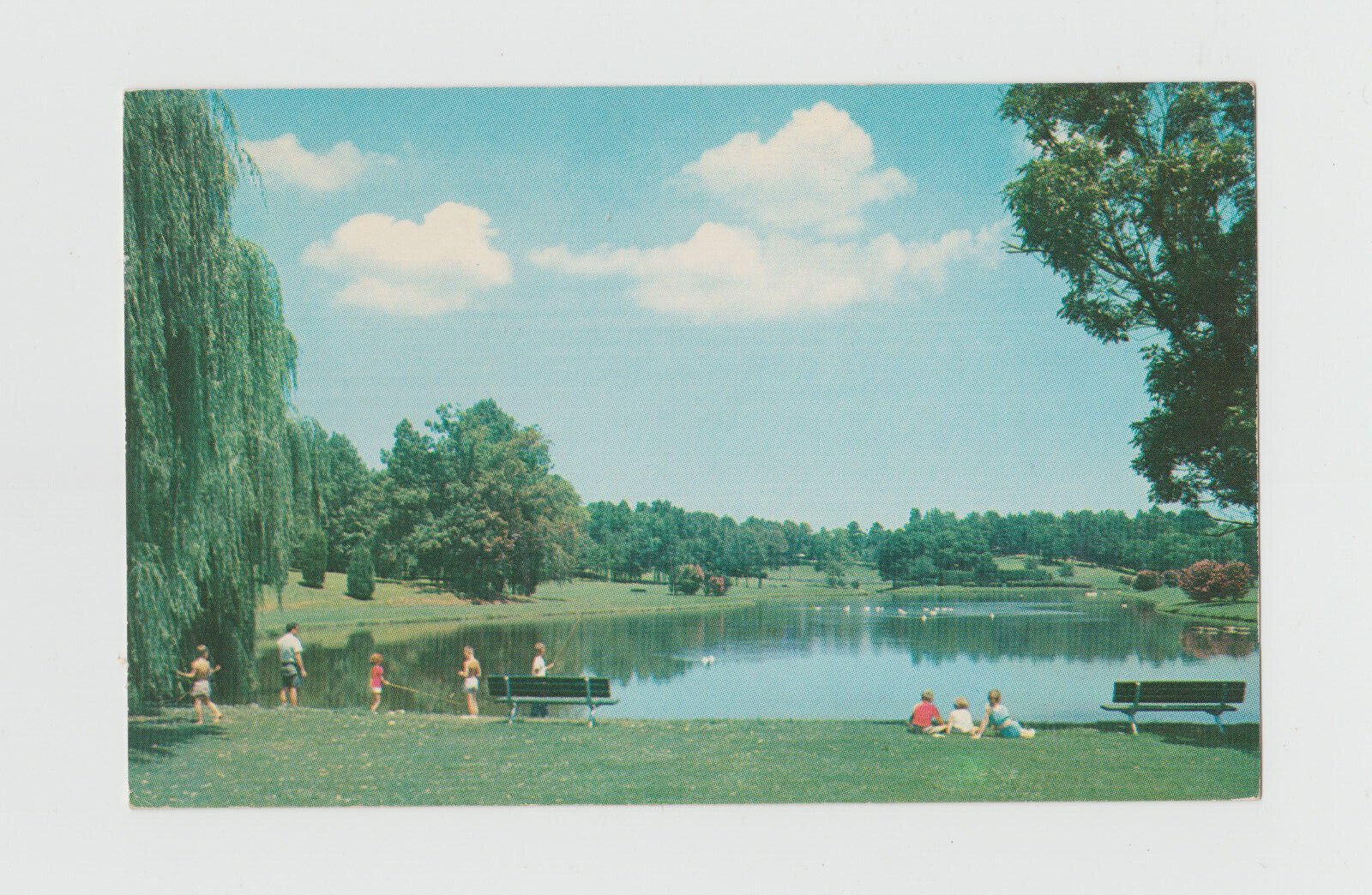 Postcard Charlotte  North Carolina, Freedom Park, c.1950s  373