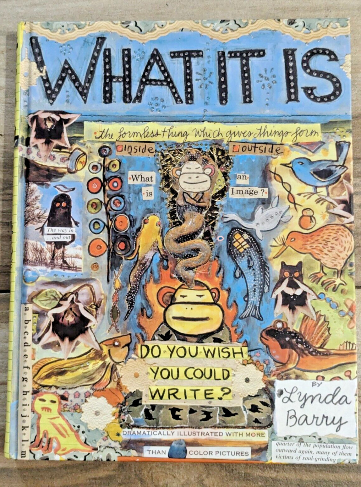 What It Is: Do You Wish You Could Write? by Lynda Barry - Hardcover Book - NEW
