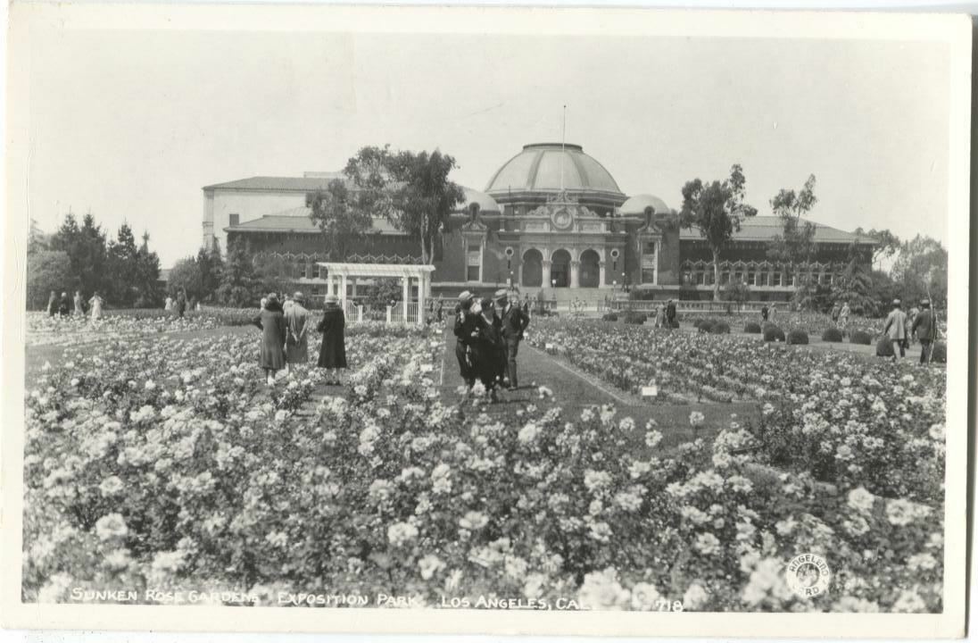RPPC Postcard Sunken Rose Gardens Exposition Park Los Angeles CA California 