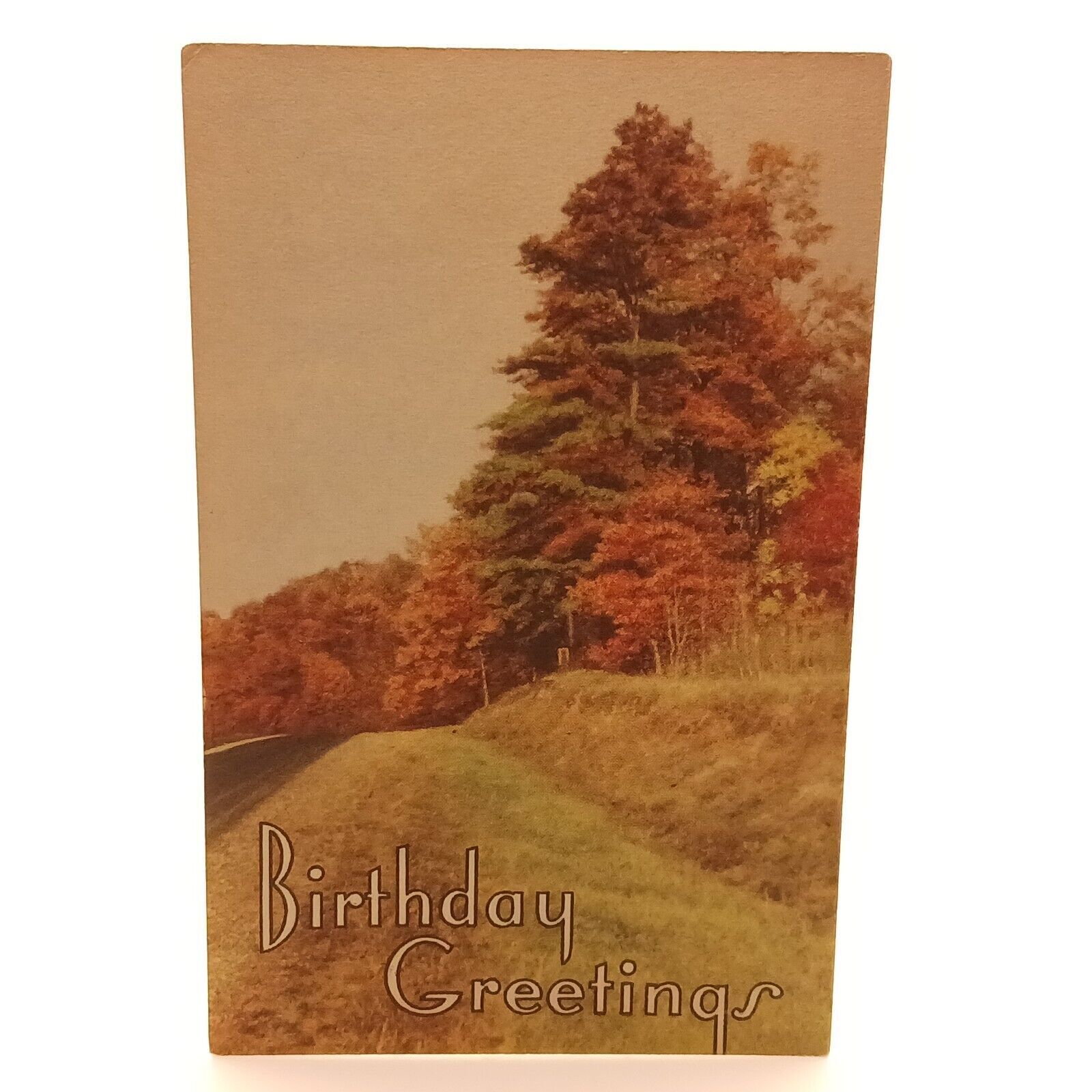Postcard Birthday Greetings Fall Trees Religious Unposted Divided