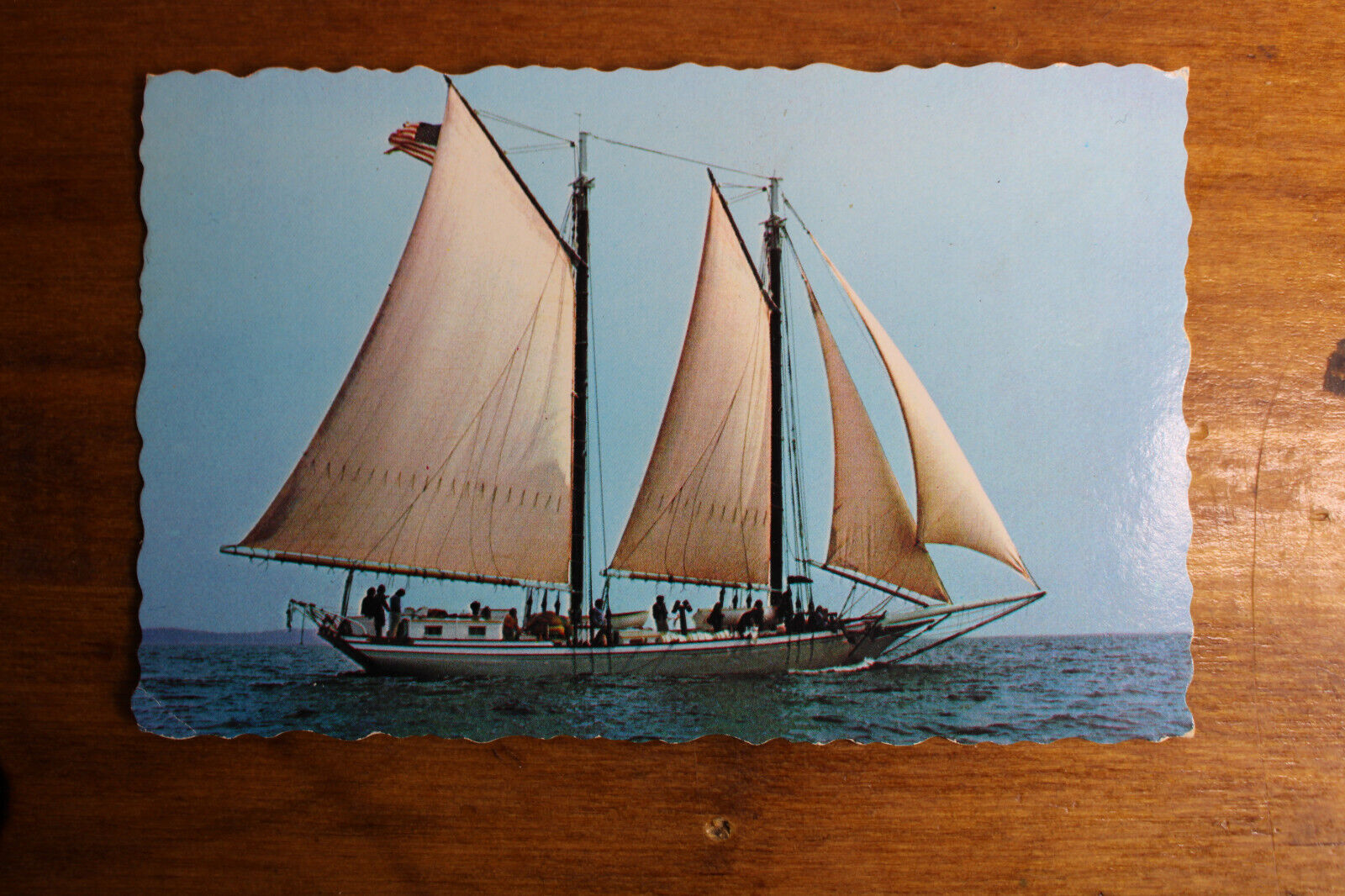 Postcard Schooner Stephen Taber Camden weekly cruise Maine VTG Sailing