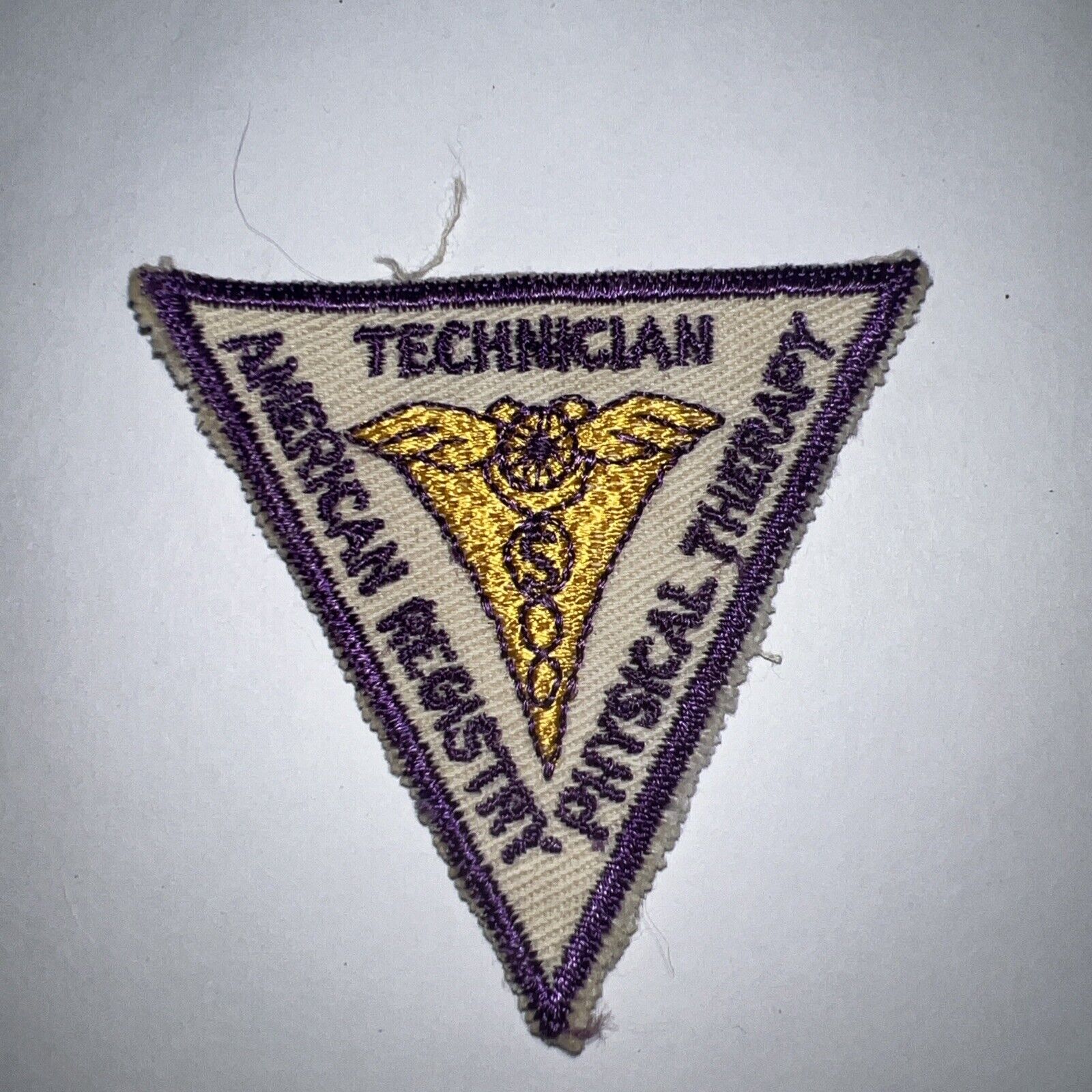 Vintage American Registry Physical Therapy  Technician Patch Rare