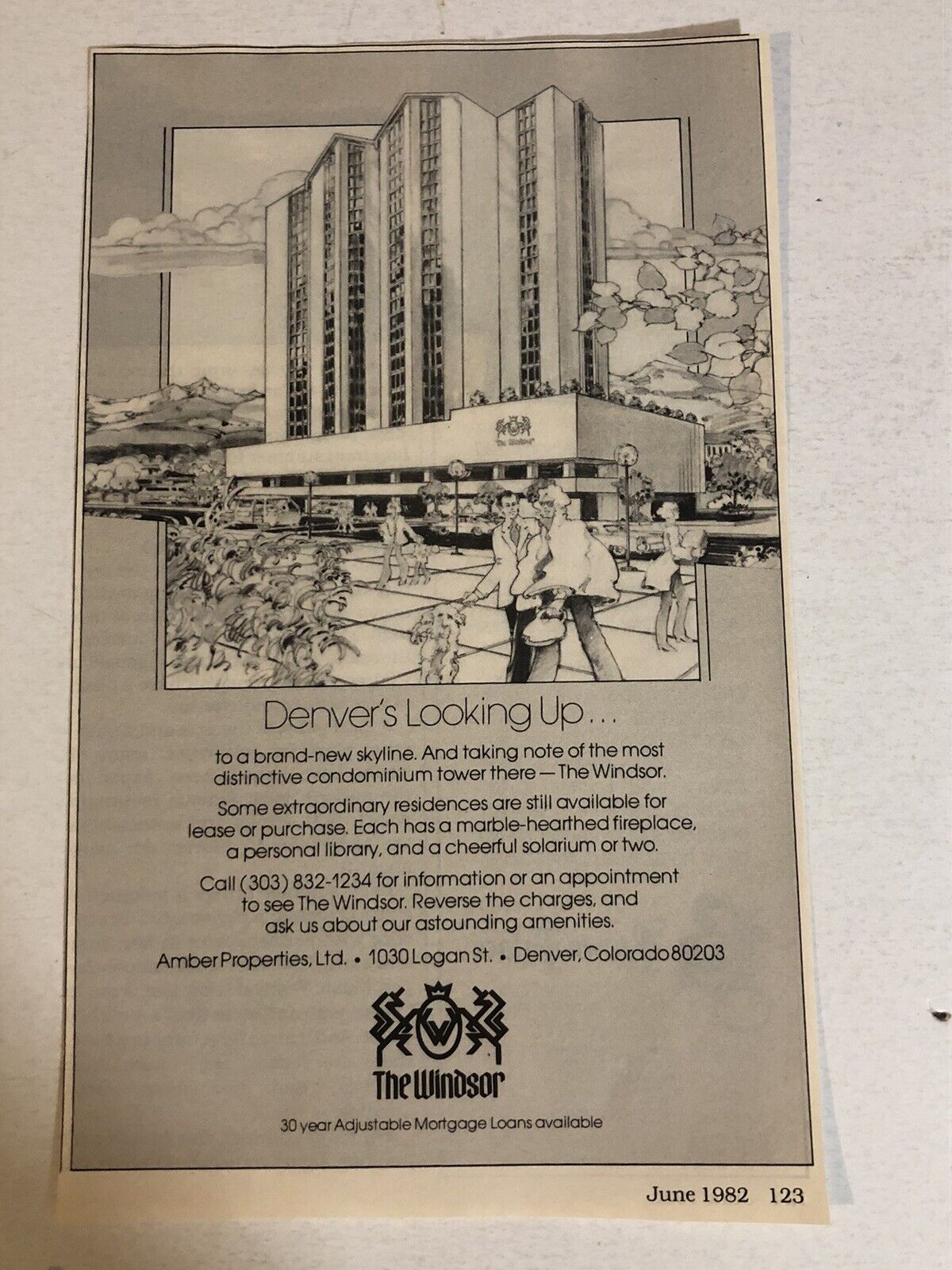 1982 The Windsor Denver Vintage Print Ad Advertisement pa15