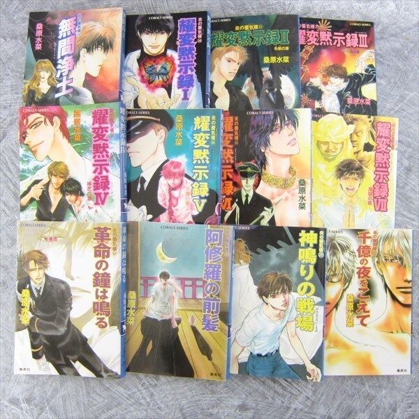 HONOO NO MIRAGE of Blaze Final Season Lot of 12 Novel MIZUNA KUWABARA Book *