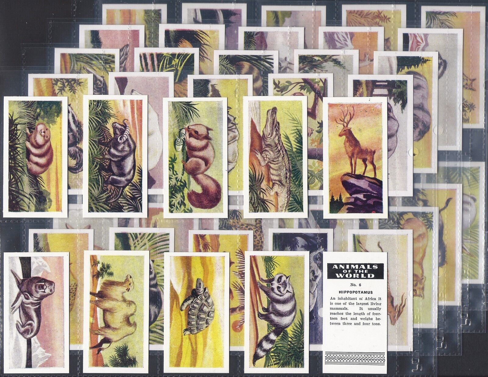 ANONYMOUS TRADE-FULL SET- ANIMALS OF THE WORLD 1954 (50 CARDS) EXCELLENT+++