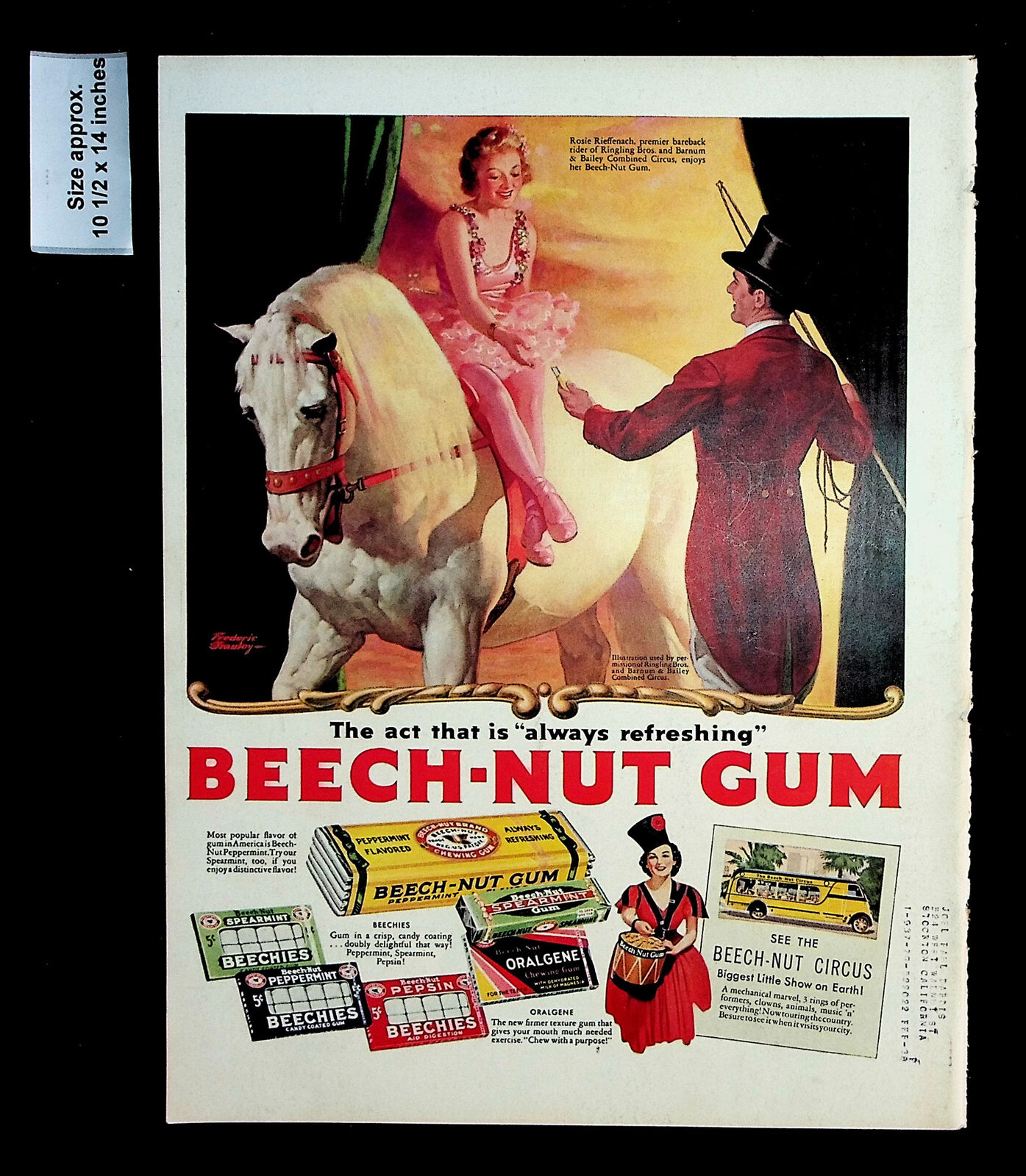 1937 Beech-Nut Mint Gum Woman Horse Circus Ringling Bros Vintage Print Ad 32190