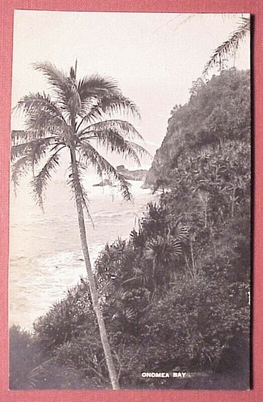1920's Lone Palm Onomea Bay TH Hawaii AZO RPPC