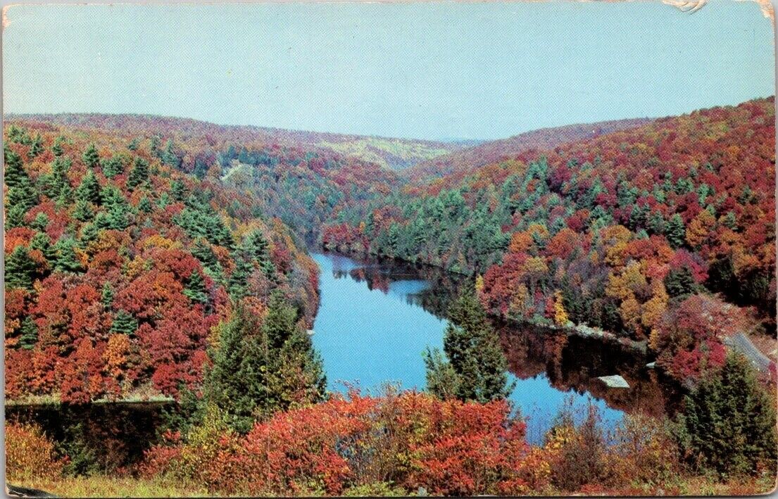 Postcard Pennsylvania Clarion River Cook Forest Road c1952 PA Posted VTG Stamp