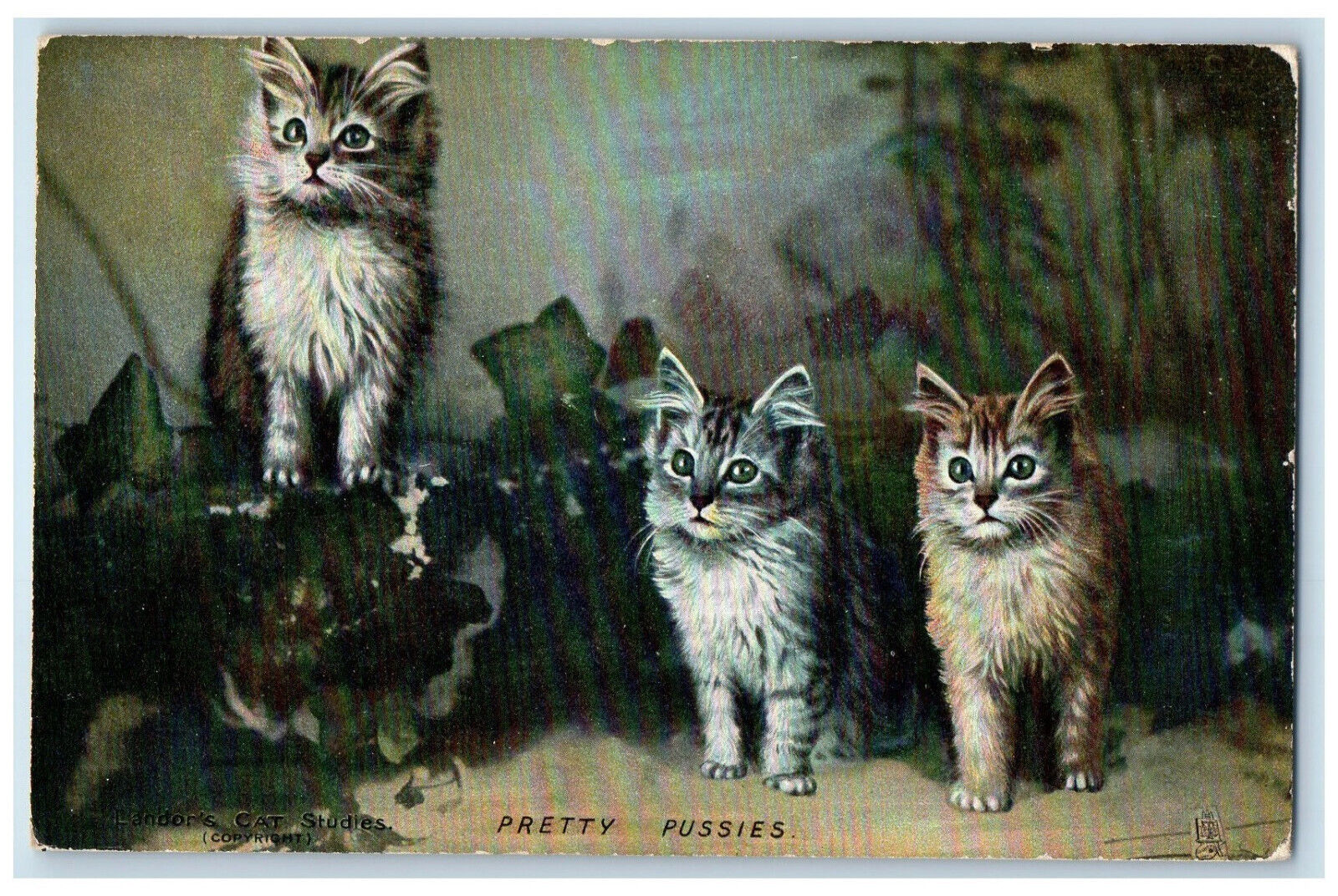 Postcard Three Pretty Pussies Landor's CAT Studies c1910 Photochrome Tuck Cats
