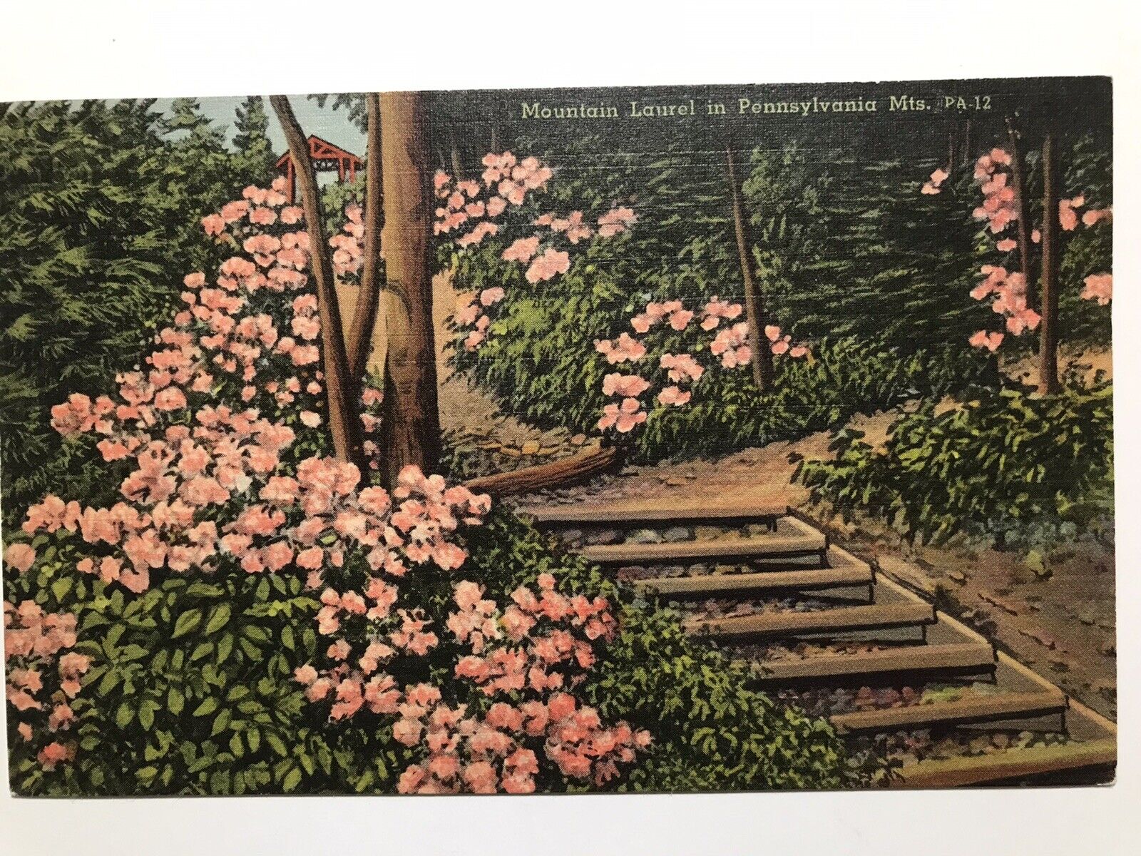 1940 Mt Laurel In Pennsylvania Mts Postcard
